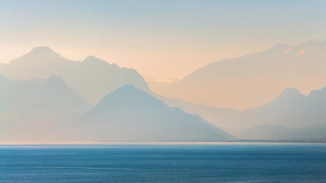 Join Tinned Insider program and get 10% discount on Japanese seafood